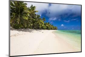 White Sandy Beach and Palm Trees on Tropical Rarotonga Island, Cook Islands, South Pacific, Pacific-Matthew Williams-Ellis-Mounted Photographic Print