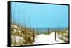 White Sandy Beach I-Gail Peck-Framed Stretched Canvas