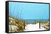 White Sandy Beach I-Gail Peck-Framed Stretched Canvas