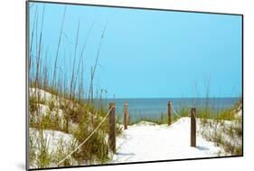 White Sandy Beach I-Gail Peck-Mounted Photographic Print