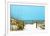 White Sandy Beach I-Gail Peck-Framed Photographic Print