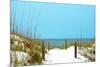 White Sandy Beach I-Gail Peck-Mounted Photographic Print