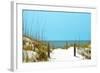 White Sandy Beach I-Gail Peck-Framed Photographic Print