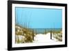 White Sandy Beach I-Gail Peck-Framed Photographic Print