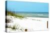 White Sandy Beach II-Gail Peck-Stretched Canvas