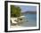 White Sandy Beach, Morar, Highlands, Scotland, United Kingdom, Europe-Gary Cook-Framed Photographic Print