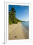 White Sandy Beach, Oarsman Bay, Yasawas, Fiji, South Pacific, Pacific-Michael Runkel-Framed Photographic Print