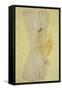 White Satin-Den Reader-Framed Stretched Canvas