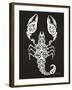 White Scorpion-Cat Coquillette-Framed Giclee Print