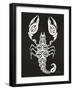 White Scorpion-Cat Coquillette-Framed Giclee Print