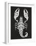 White Scorpion-Cat Coquillette-Framed Giclee Print