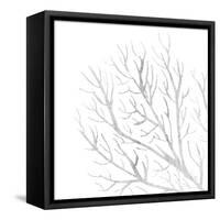 White Seaweed 1-Denise Brown-Framed Stretched Canvas