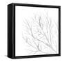 White Seaweed 1-Denise Brown-Framed Stretched Canvas