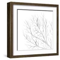 White Seaweed 1-Denise Brown-Framed Art Print