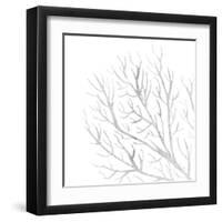 White Seaweed 1-Denise Brown-Framed Art Print