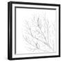White Seaweed 1-Denise Brown-Framed Art Print