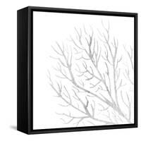 White Seaweed 1-Denise Brown-Framed Stretched Canvas