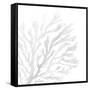 White Seaweed 2-Denise Brown-Framed Stretched Canvas