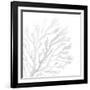 White Seaweed 2-Denise Brown-Framed Art Print