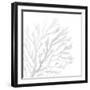 White Seaweed 2-Denise Brown-Framed Art Print