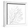 White Seaweed 2-Denise Brown-Framed Art Print