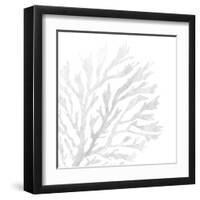 White Seaweed 2-Denise Brown-Framed Art Print