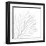 White Seaweed 2-Denise Brown-Framed Art Print