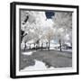 White Shadows - In the Style of Oil Painting-Philippe Hugonnard-Framed Giclee Print