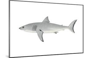 White Shark (Carcharodon Carcharias), Fishes-Encyclopaedia Britannica-Mounted Poster