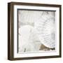 White Shells II-Irena Orlov-Framed Art Print