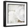 White Shells II-Irena Orlov-Framed Art Print