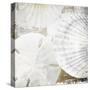 White Shells II-Irena Orlov-Stretched Canvas