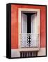White Shutters, Old San Juan, Puerto Rico-Tom Haseltine-Framed Stretched Canvas