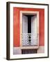 White Shutters, Old San Juan, Puerto Rico-Tom Haseltine-Framed Premium Photographic Print