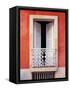 White Shutters, Old San Juan, Puerto Rico-Tom Haseltine-Framed Stretched Canvas