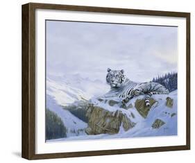 White Siberian Tiger-Spencer Hodge-Framed Giclee Print