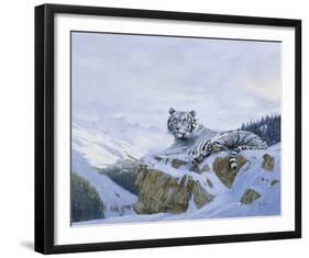 White Siberian Tiger-Spencer Hodge-Framed Giclee Print