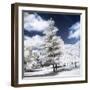 White Silence - In the Style of Oil Painting-Philippe Hugonnard-Framed Giclee Print