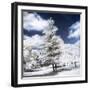 White Silence - In the Style of Oil Painting-Philippe Hugonnard-Framed Giclee Print