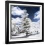 White Silence - In the Style of Oil Painting-Philippe Hugonnard-Framed Giclee Print