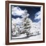 White Silence - In the Style of Oil Painting-Philippe Hugonnard-Framed Giclee Print