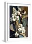 White Snowberry Flowers-Lea Faucher-Framed Art Print