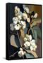 White Snowberry Flowers-Lea Faucher-Framed Stretched Canvas