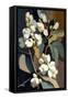 White Snowberry Flowers-Lea Faucher-Framed Stretched Canvas