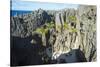 White soft sand in the Togo chasm, Niue, South Pacific, Pacific-Michael Runkel-Stretched Canvas