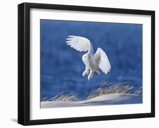 White Spirit Demon-Wei Tang-Framed Photographic Print