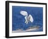 White Spirit Demon-Wei Tang-Framed Photographic Print