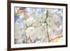 White Spring Blossoms 01-LightBoxJournal-Framed Giclee Print