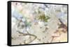 White Spring Blossoms 03-LightBoxJournal-Framed Stretched Canvas