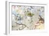 White Spring Blossoms 03-LightBoxJournal-Framed Giclee Print